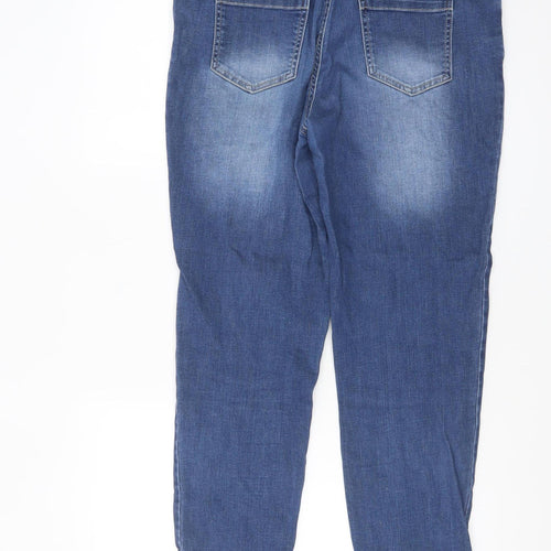 John Baner Womens Blue Size 10 Regular Straight Denim Jeans