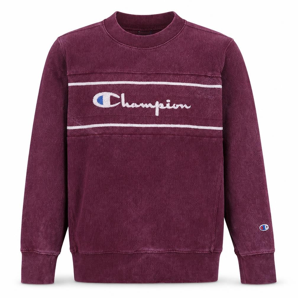Front view of Champion Men's Purple XL Reverse Weave Sweatshirt Vintage Pullover