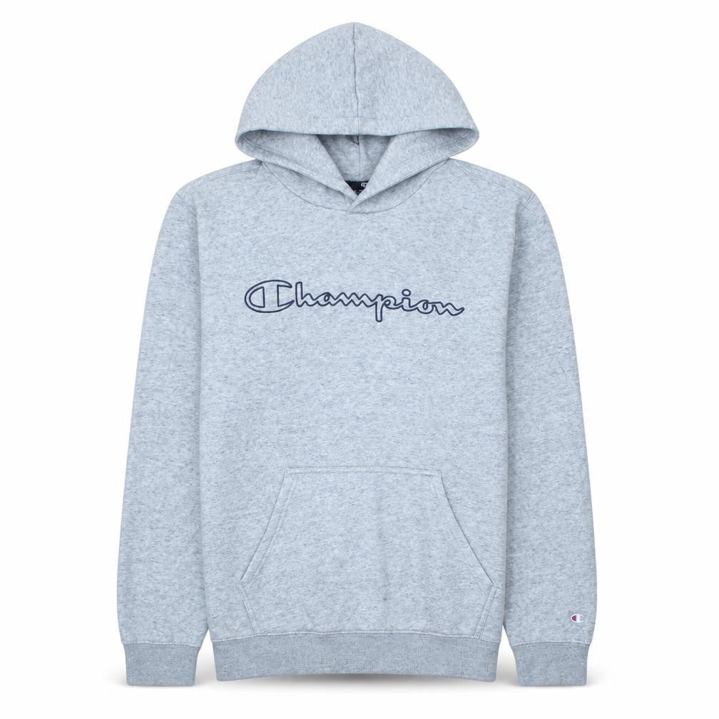 Front view of Champion Men Grey Pullover Hoodie L Regular Fleece Sports Logo