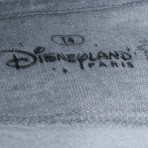 Disneyland Paris Boys Grey Mickey Hoodie 14 Years Pullover Cotton Blend