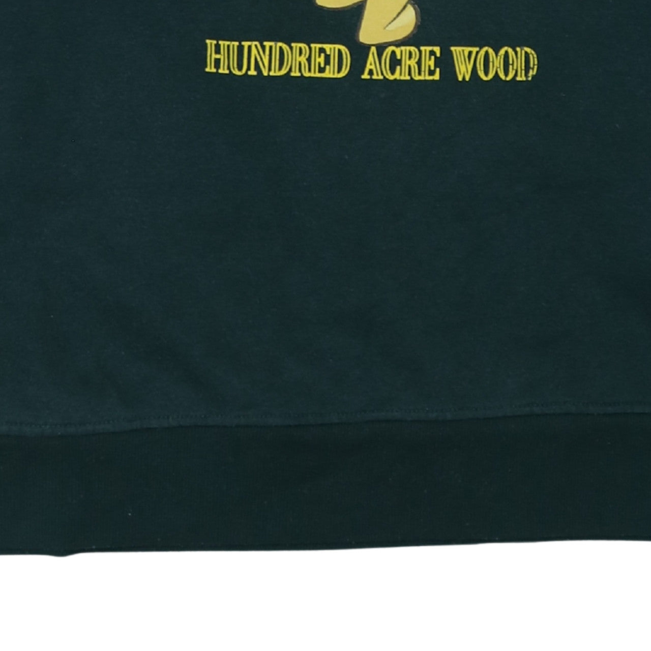 Disney Winnie the Pooh Women's Green Pullover Sweatshirt L 14/16