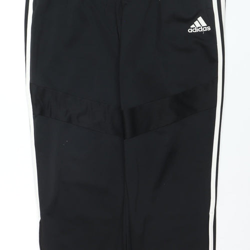 Adidas Men Black Track Pants L Regular Fit Sports Tapered Trousers