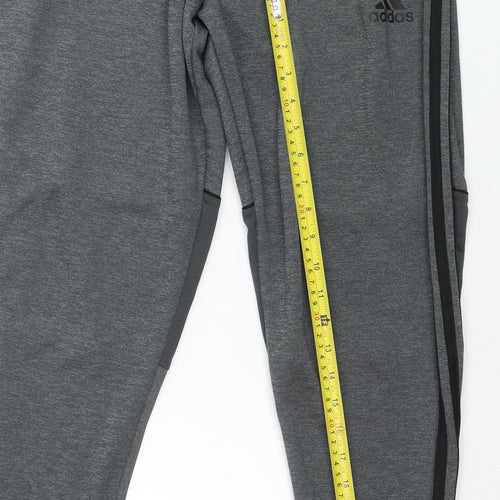 Adidas Men Grey Slim Fit Track Pants M Joggers Activewear