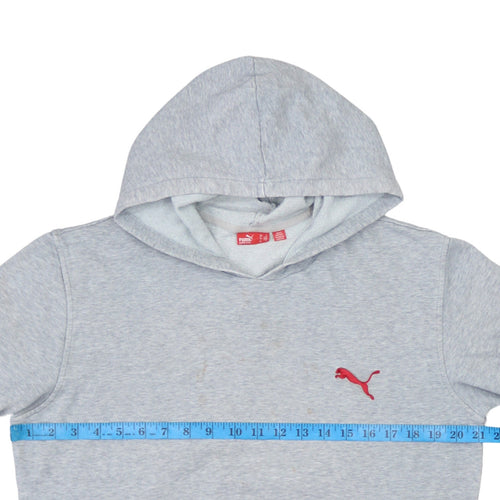 Puma Men’s Grey Small Pullover Hoodie with Red Logo