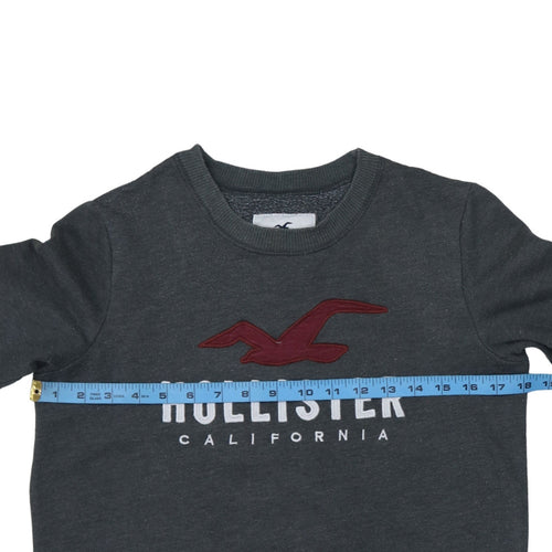 Hollister Men Grey XS Pullover Fleece Sweatshirt with Logo