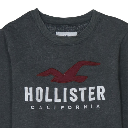 Hollister Men Grey XS Pullover Fleece Sweatshirt with Logo
