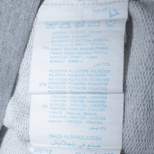 Champion Men's Grey XS Pullover Hoodie with Logo Print