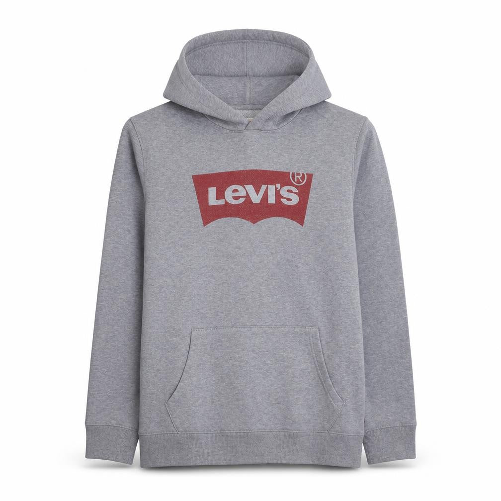 Front view of Levi's Men's Grey Pullover Hoodie M Logo Graphic Cotton Blend