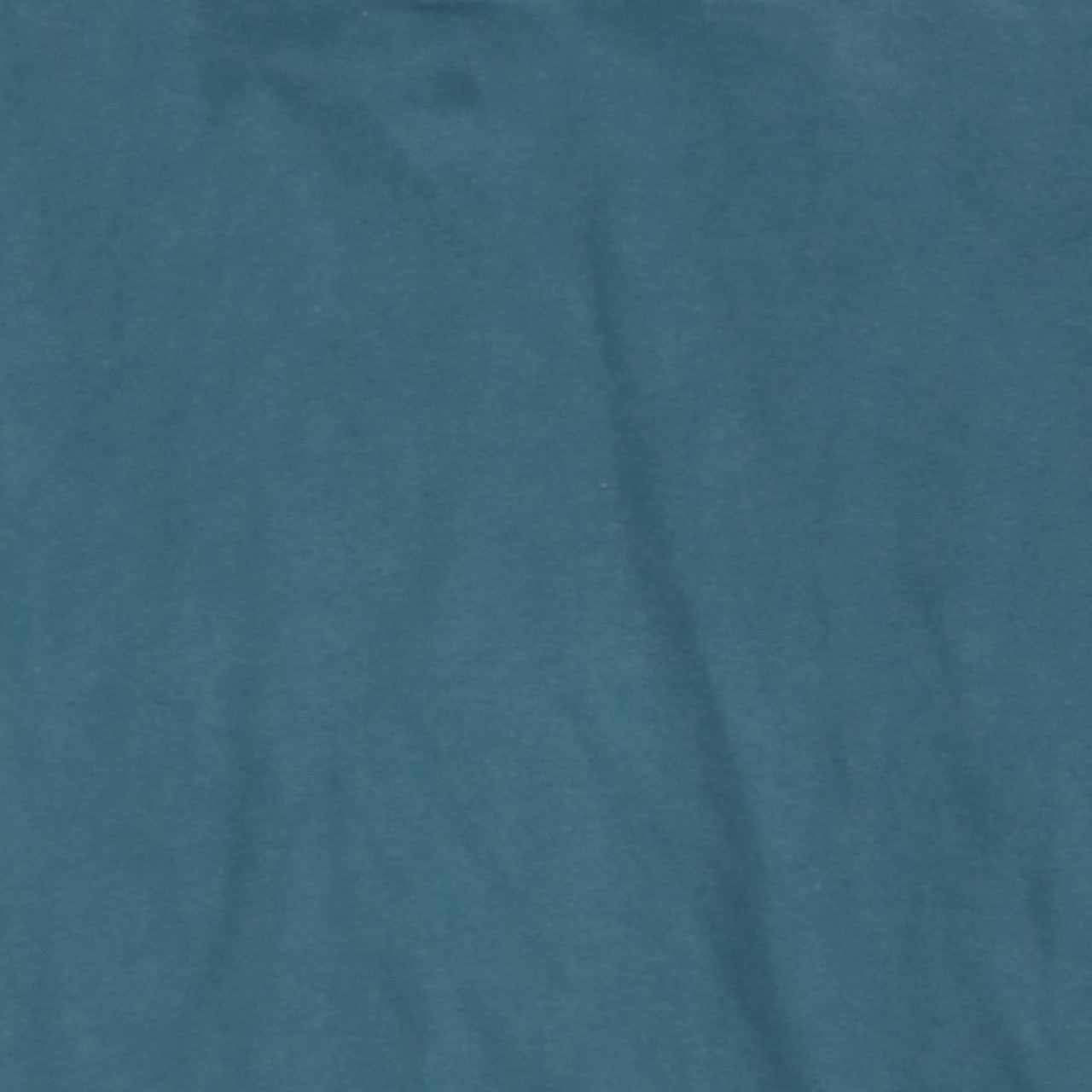Champion Womens Teal Pullover Hoodie Large Cotton Casual