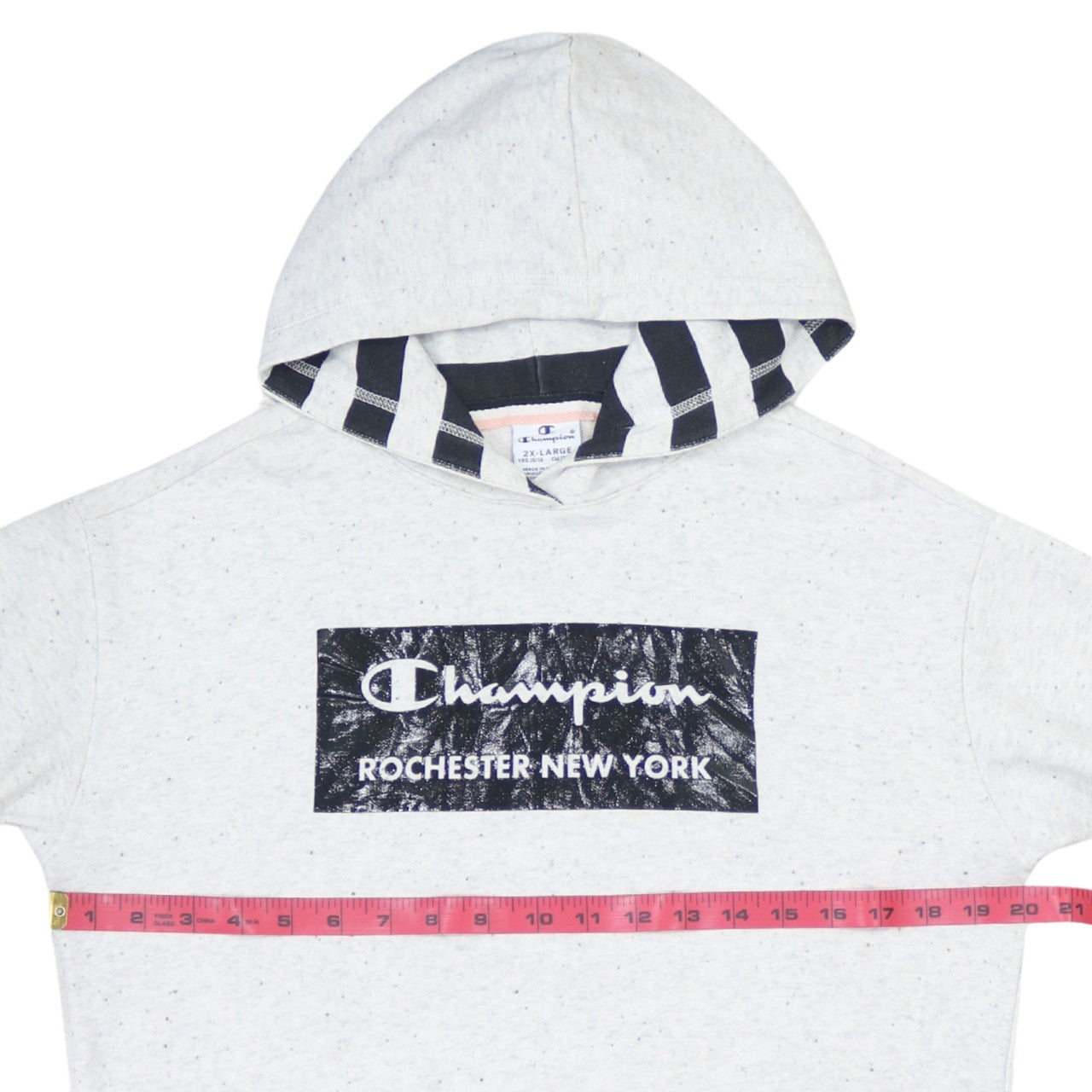 Champion Boys Grey 2XL Pullover Hoodie Rochester New York Graphic