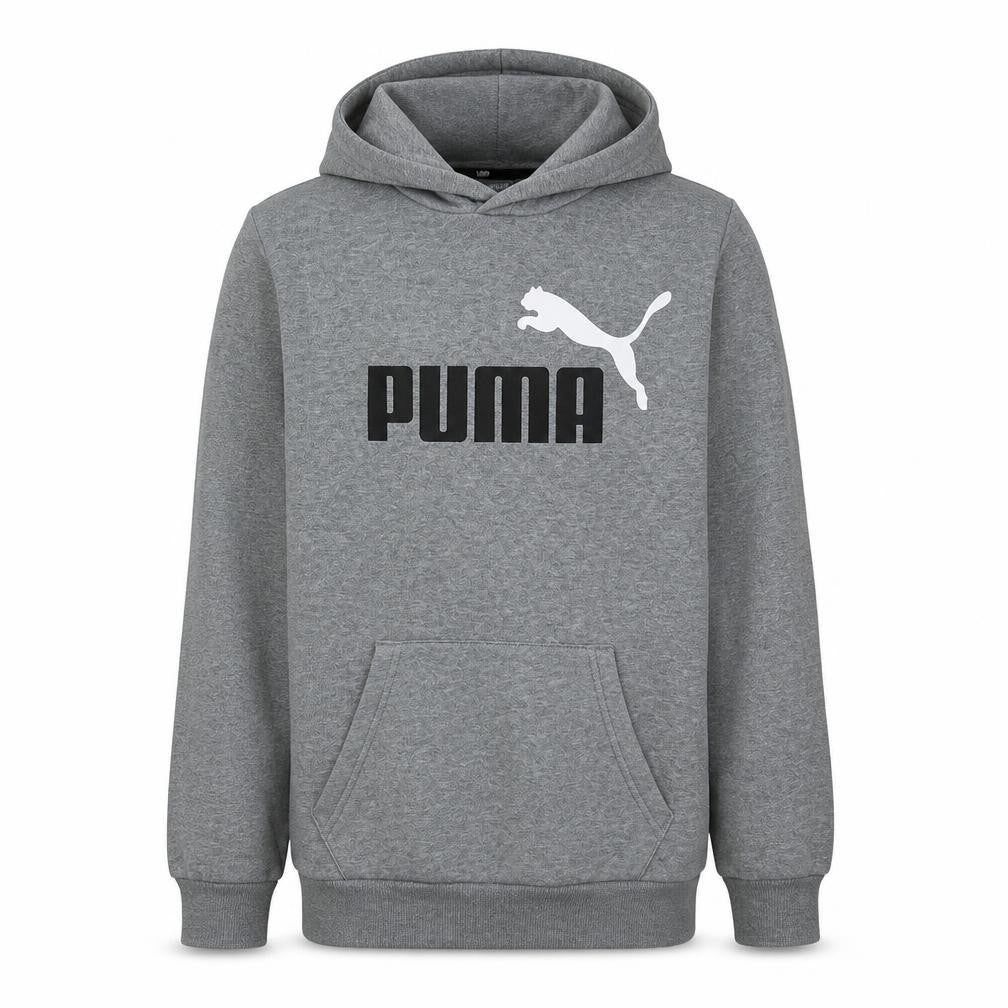 Front view of Puma Men's Grey XS Pullover Hoodie with Logo Front