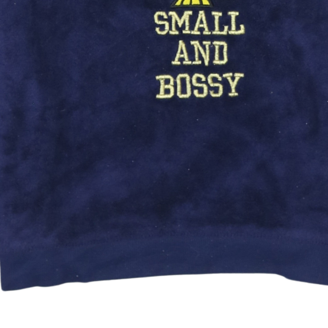 Looney Tunes Women’s Blue Velour Tweety Nightshirt Size S