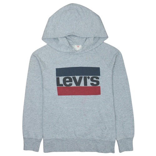 Levi's Men's Grey XS Pullover Hoodie with Logo Print