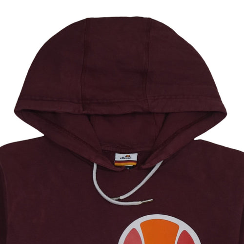 Ellesse Men's Brown Pullover Hoodie M Graphic Logo Fleece