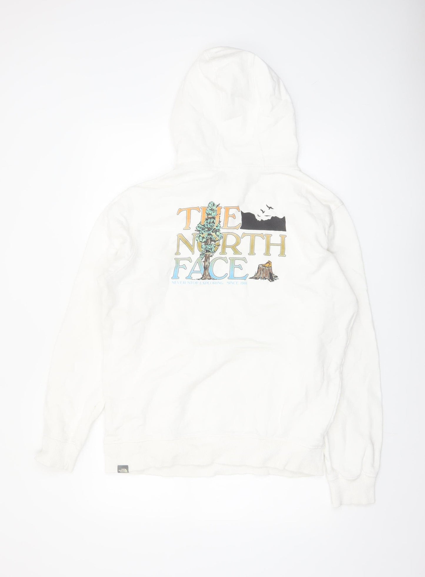 The North Face Men's White Pullover Hoodie L Graphic Outdoor