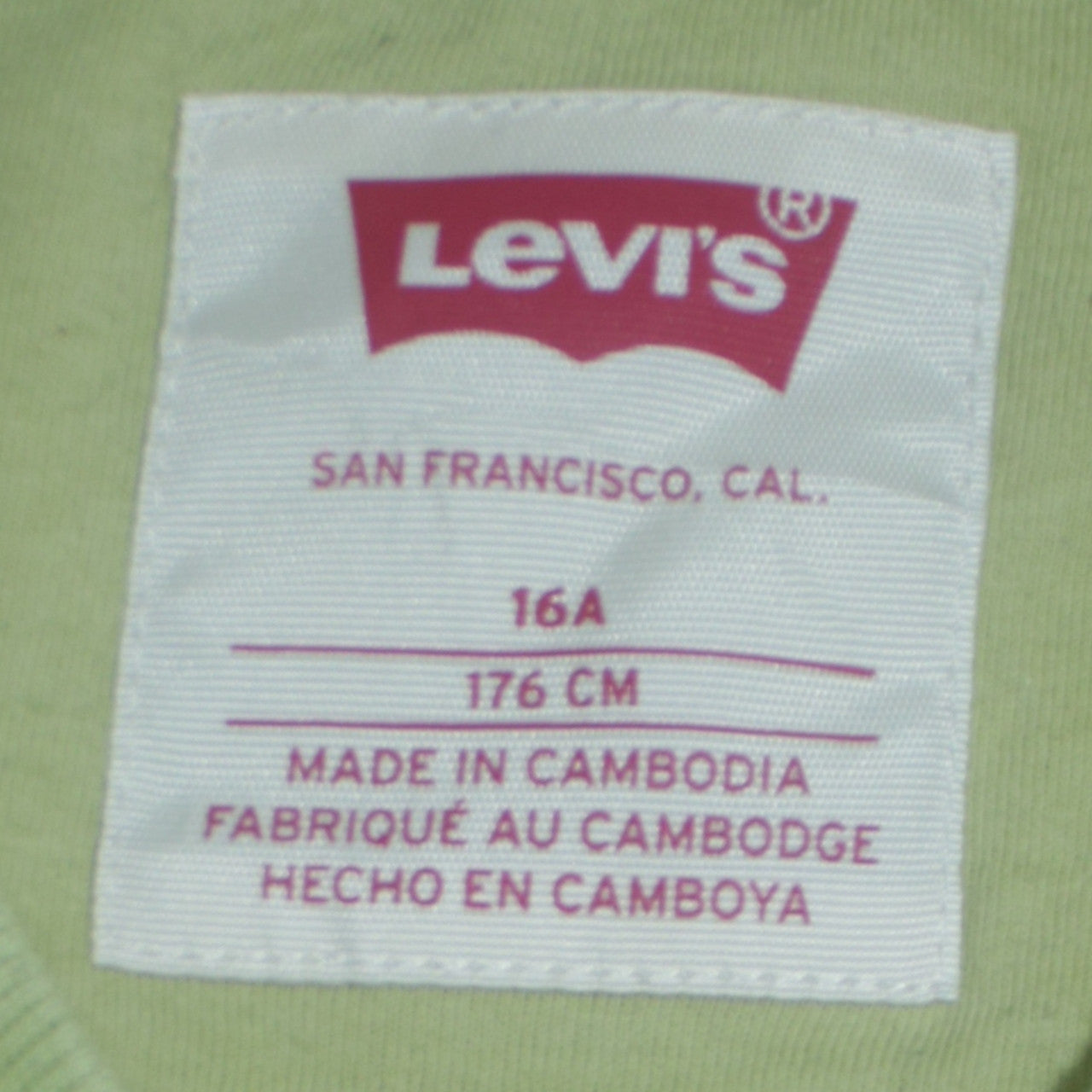 Levi's Boys Green Crew Neck Pullover Sweatshirt 16 Years Regular Fit