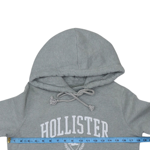 Hollister Men's Grey Pullover Hoodie S Logo Fleece Sweatshirt