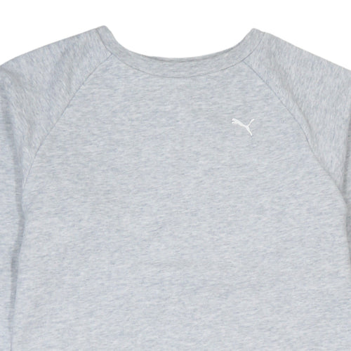 Puma Womens Grey XS Long Sleeve Pullover Sweatshirt Dress