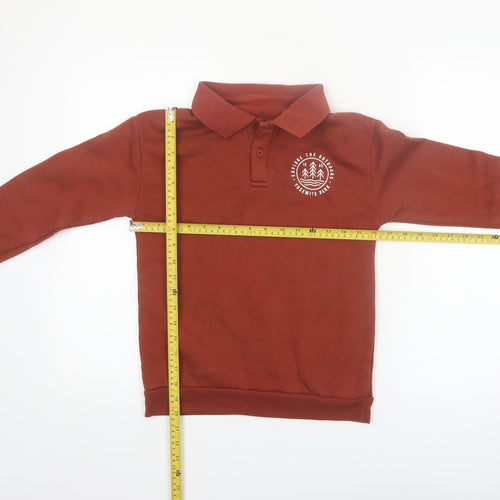 Dunnes Stores Boys Brown Collared Henley Sweatshirt 10-11 Years Outdoor Graphic