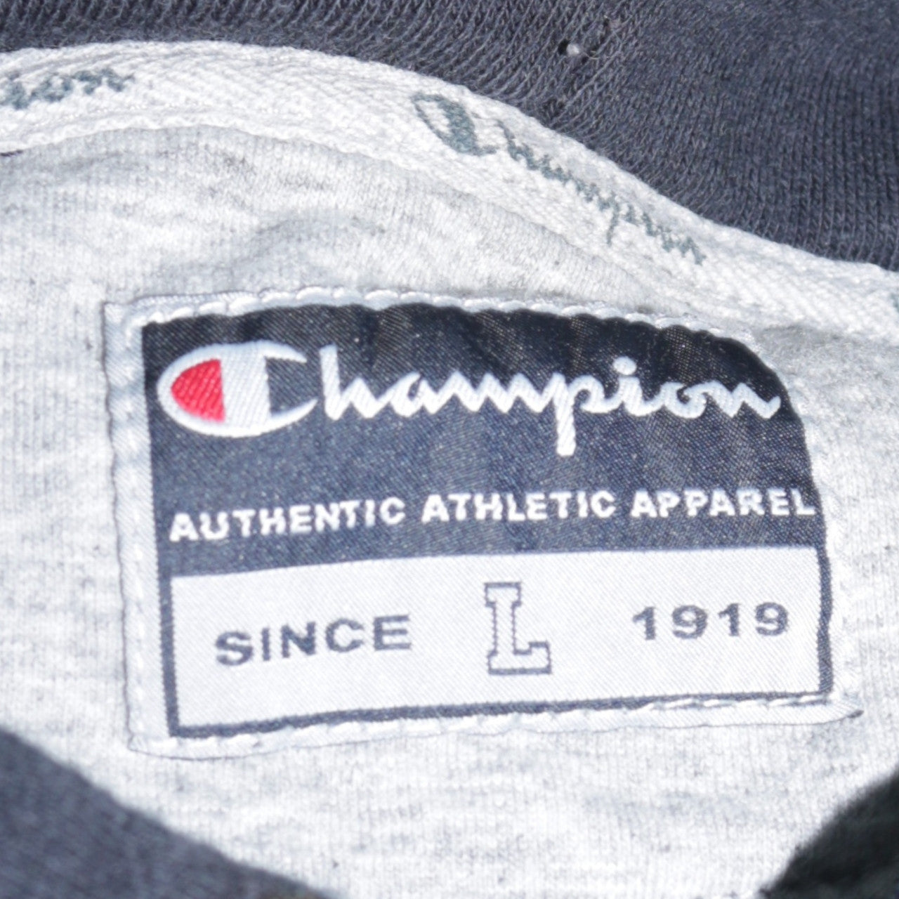 Champion Men’s Blue Pullover Hoodie L Logo Sportswear