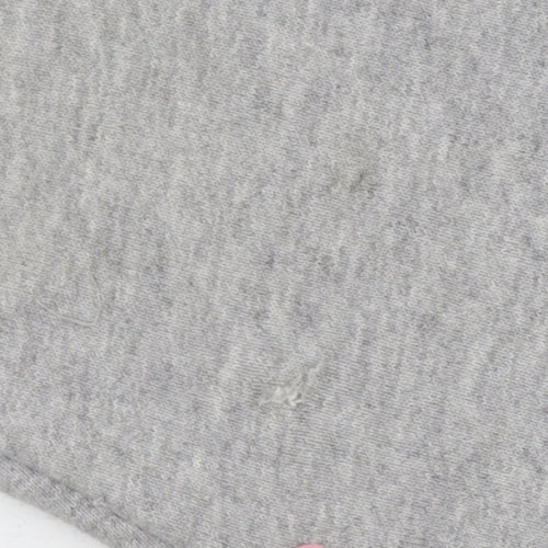 The North Face Men's Grey 2XL Pullover Hoodie Fleece Logo Outdoor