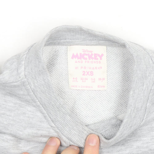 Disney Mickey & Friends Grey Sweatshirt Women 2XS Pullover Crew Neck