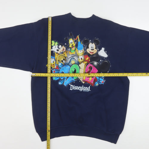 Hanes Disneyland Resort Navy Graphic Sweatshirt Women M 2012 Disney Print