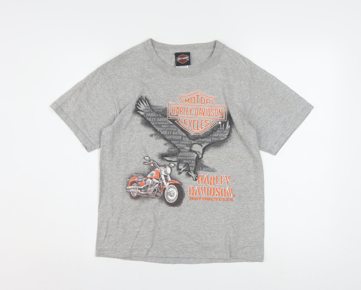 Harley-Davidson Boys Grey Graphic T-Shirt 12-14 Years Motorcycle Logo