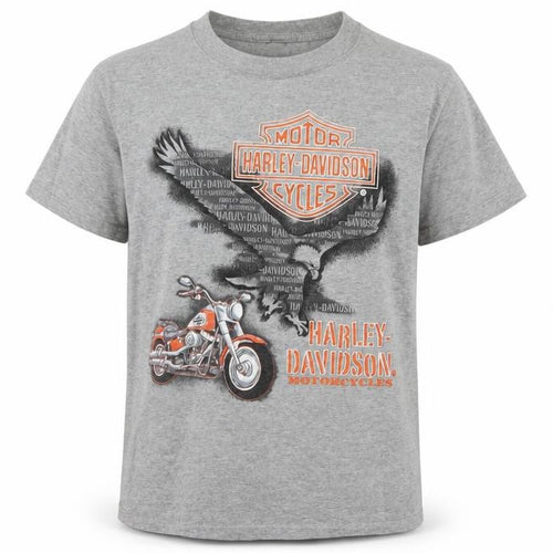 Harley-Davidson Boys Grey Graphic T-Shirt 12-14 Years Motorcycle Logo