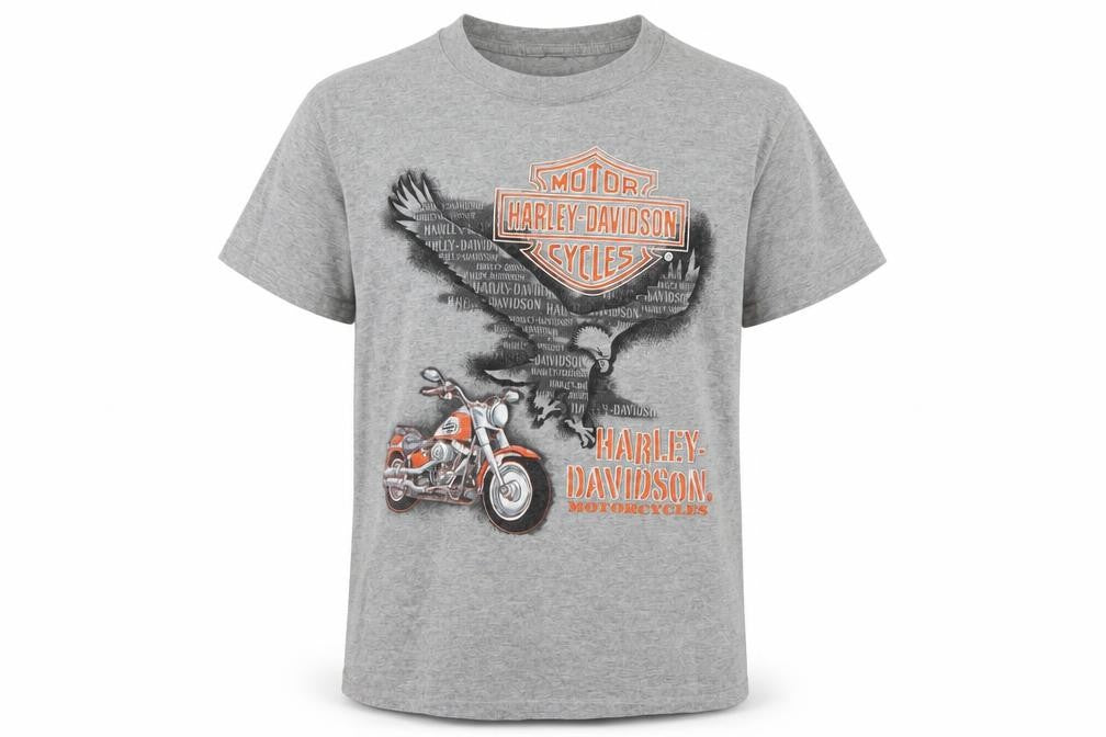 Harley-Davidson Boys Grey Graphic T-Shirt 12-14 Years Motorcycle Logo