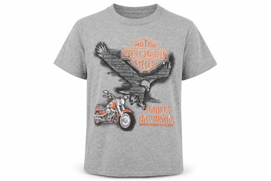 Front view of Harley-Davidson boys’ grey graphic t-shirt 12-14 years motorcycle logo