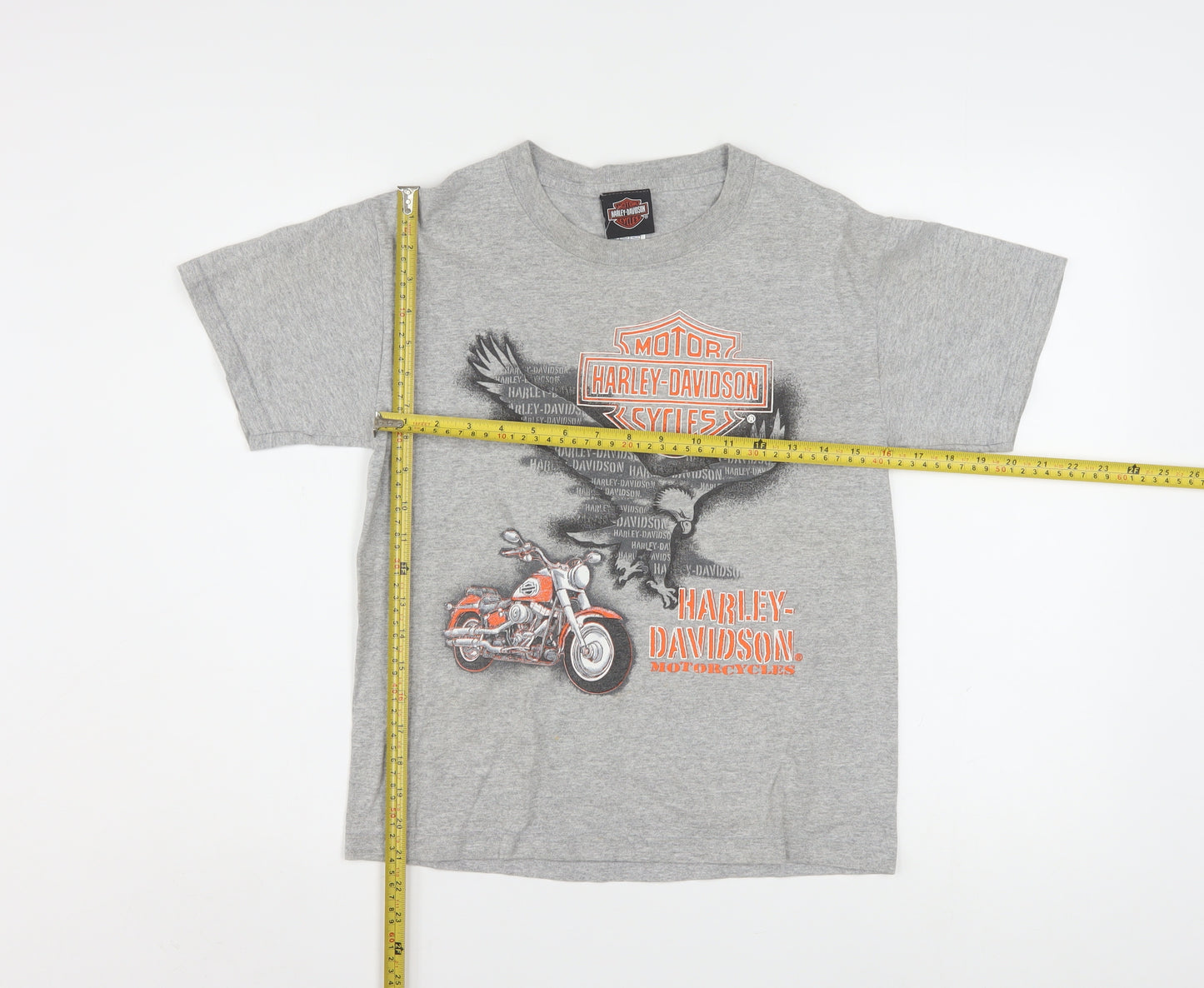 Harley-Davidson Boys Grey Graphic T-Shirt 12-14 Years Motorcycle Logo