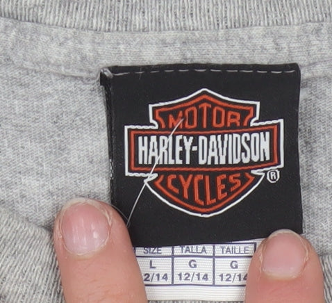 Harley-Davidson Boys Grey Graphic T-Shirt 12-14 Years Motorcycle Logo