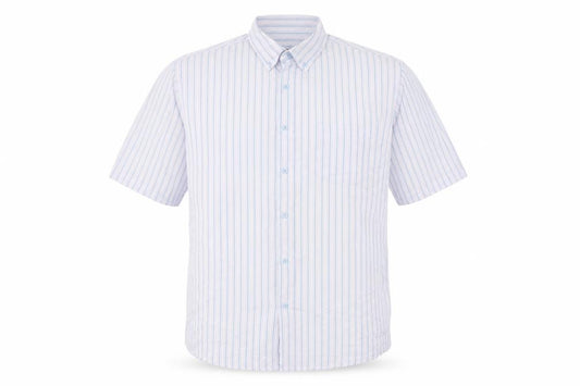 Front view of Dunnes Men's Blue Striped Slim Fit Short Sleeve Button-Up Shirt XL