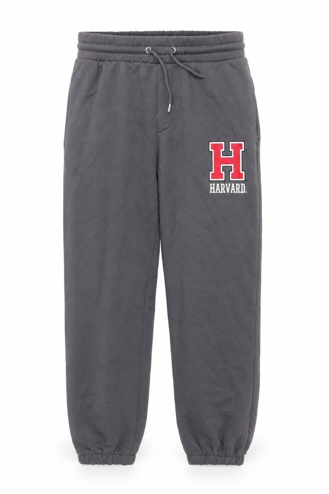 Front view of Harvard Men's Grey Jogger Sweatpants Medium Fleece Activewear Trousers