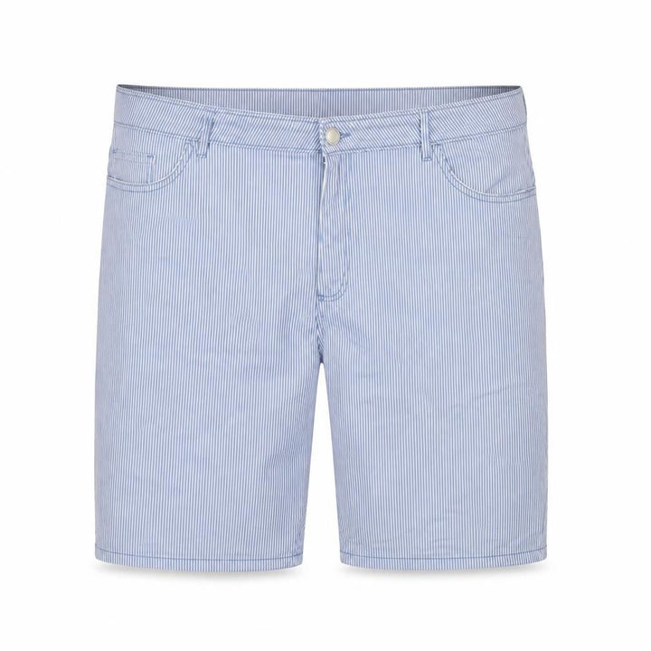 Front view of Dunnes Men Blue Striped Bermuda Shorts, size L, Cotton Blend