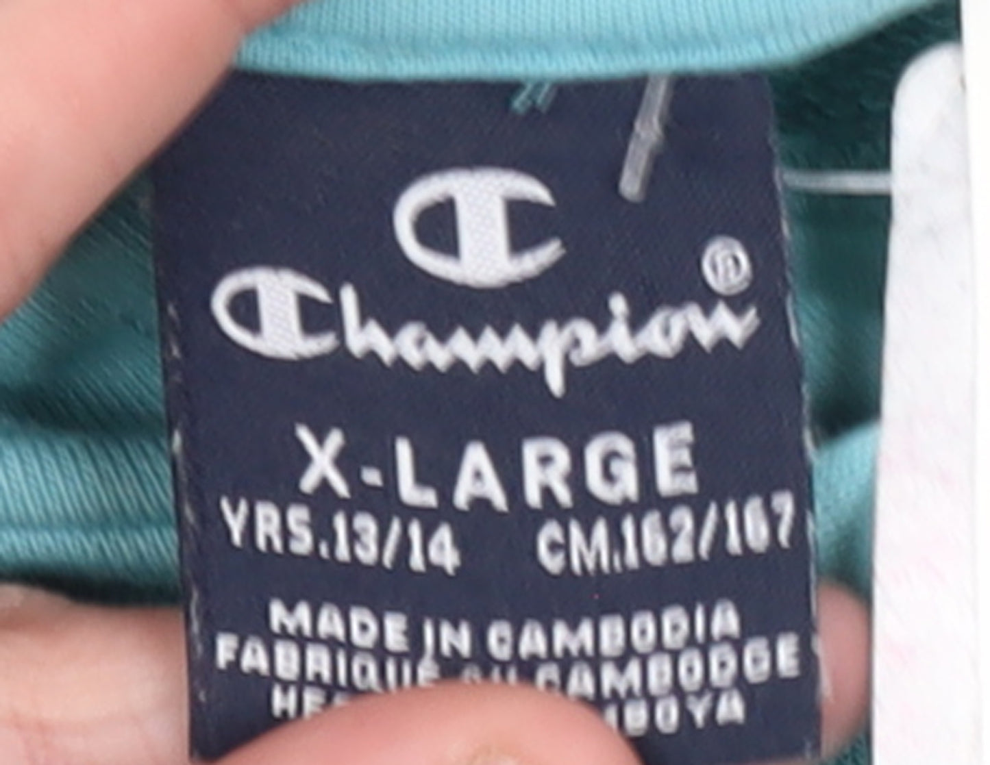 Champion Girls Blue Pullover Hoodie Size 13-14 Years Regular Fit