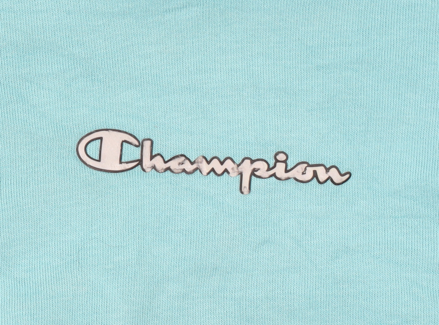 Champion Girls Blue Pullover Hoodie Size 13-14 Years Regular Fit