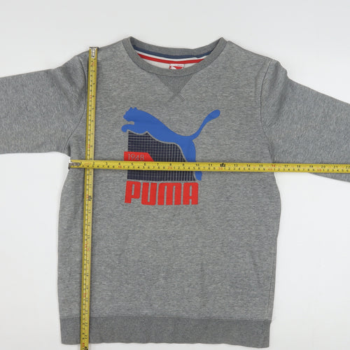 Puma Boys Grey 164 Pullover Crew Neck Sweatshirt with Logo Graphic