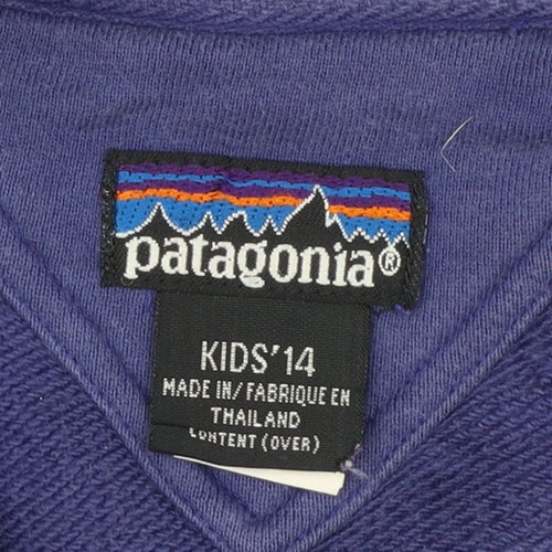 Patagonia Boys Purple 14 Years Fleece 1/2 Zip Pullover Sweatshirt