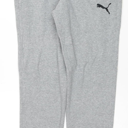 Puma Men's Grey Small Sweatpants Joggers Regular Fit