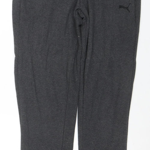 Puma Men Grey Jogger Sweatpants M Regular Fit Activewear