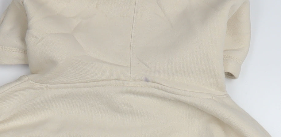 Champion Men's Beige Pullover Hoodie Large Cotton Fleece