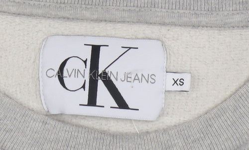 Calvin Klein Jeans Men’s Grey Logo Pullover Sweatshirt XS