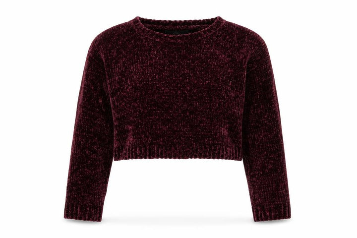 Forever 21 Women's Purple Velvet Long Sleeve Pullover Jumper Size S