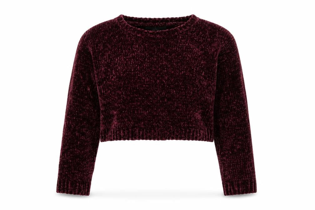 Front view of Forever 21 Women's Purple Velvet Long Sleeve jumper, size S