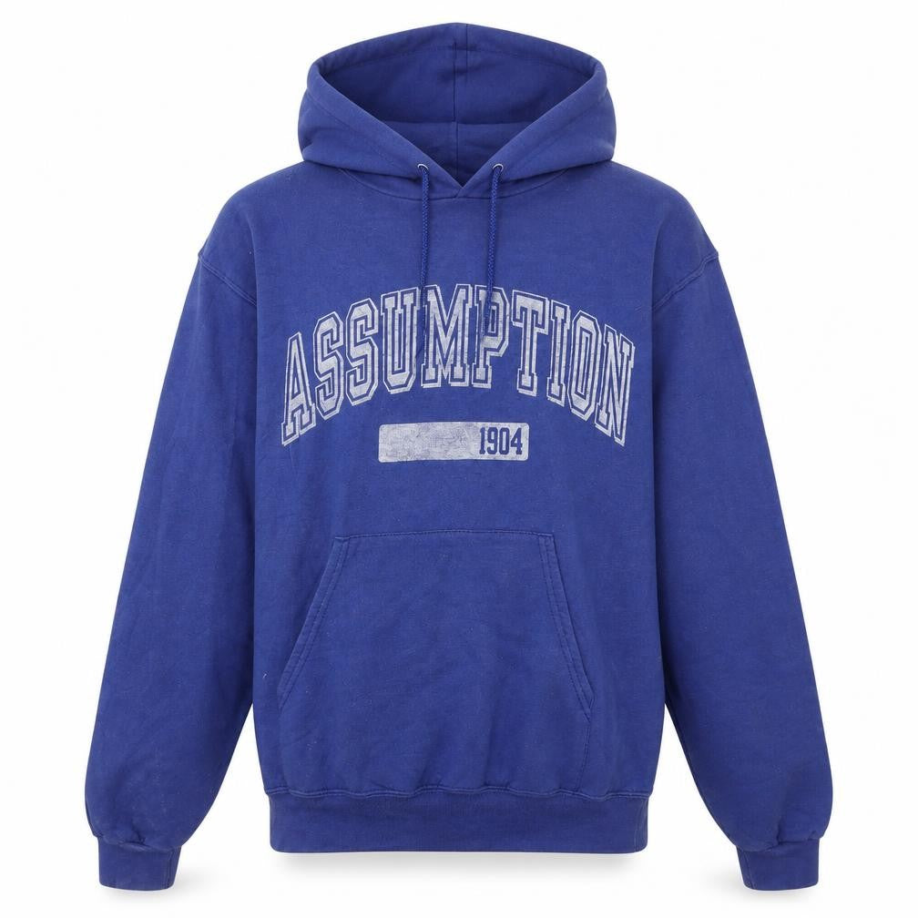 Front view of Champion Women's Blue Pullover Hoodie Small Assumption Graphic