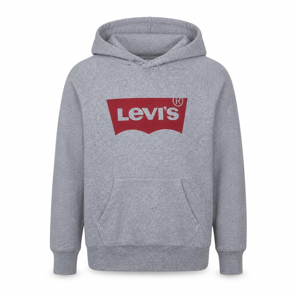 Front view of Levi's Men's Grey XS Pullover Hoodie with Logo Design