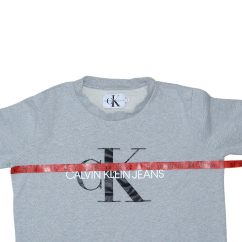 Calvin Klein Jeans Men's Grey Crew Neck Pullover Sweatshirt M