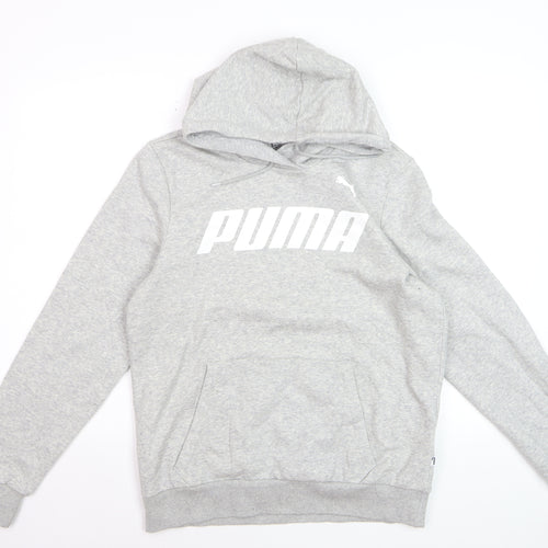 Puma Men Grey Pullover Hoodie L Hooded Sweatshirt Graphic Logo